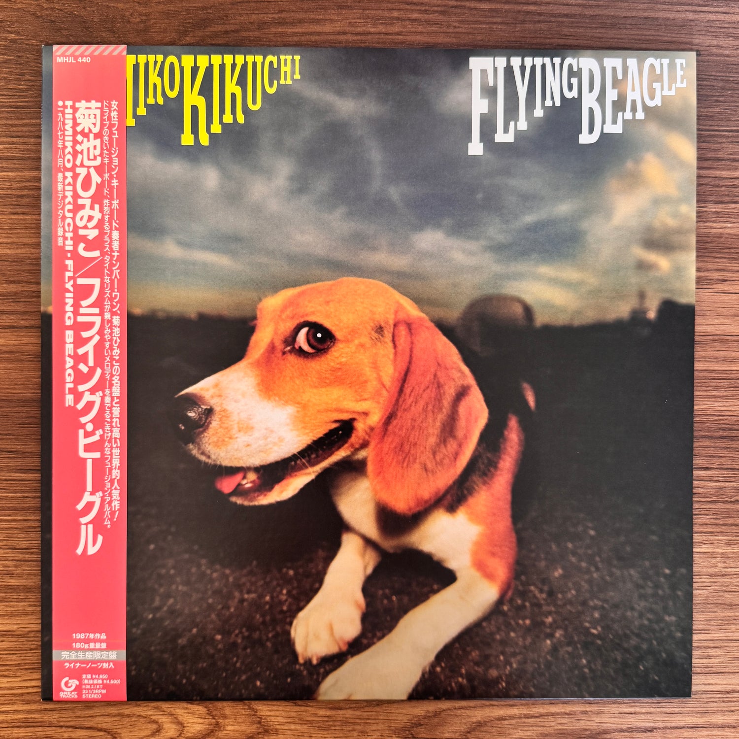 Himiko Kikuchi – Flying Beagle