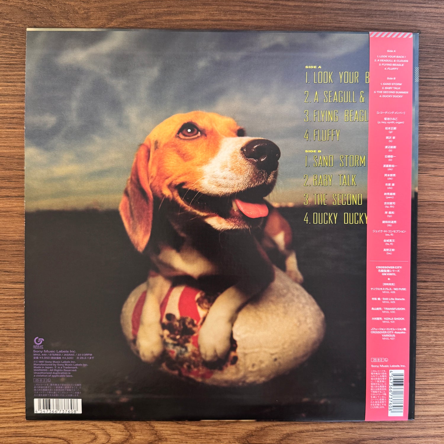 Himiko Kikuchi – Flying Beagle