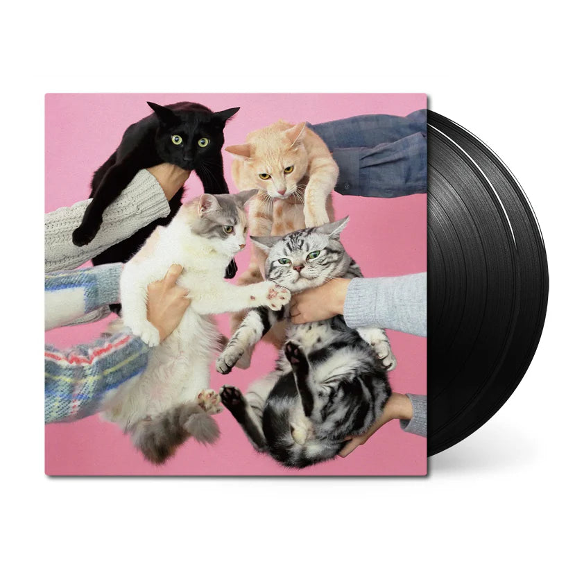 Kinoko Teikoku – Neko To Allergy Plak