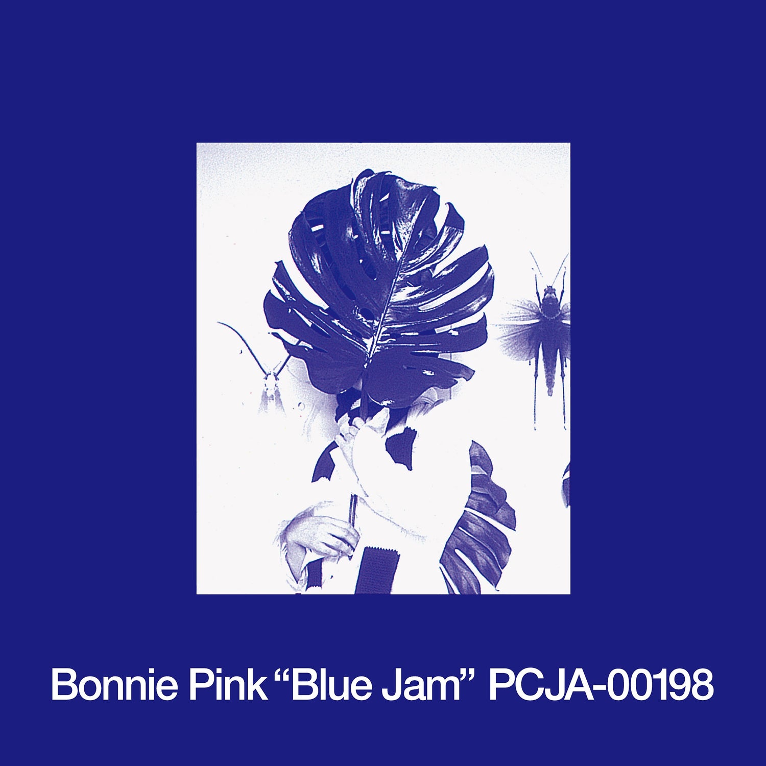Bonnie Pink – Blue Jam Plak