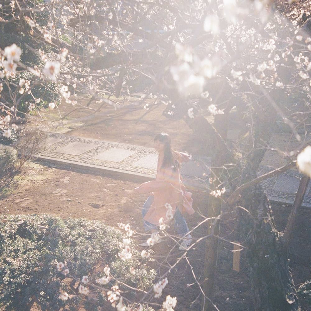 Kaneko Ayano – Hikareai CD