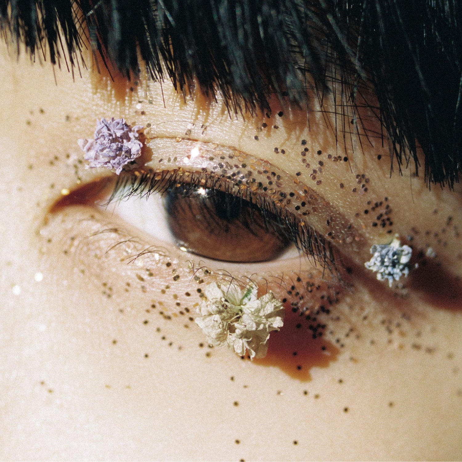 Kaneko Ayano – Shukusai CD