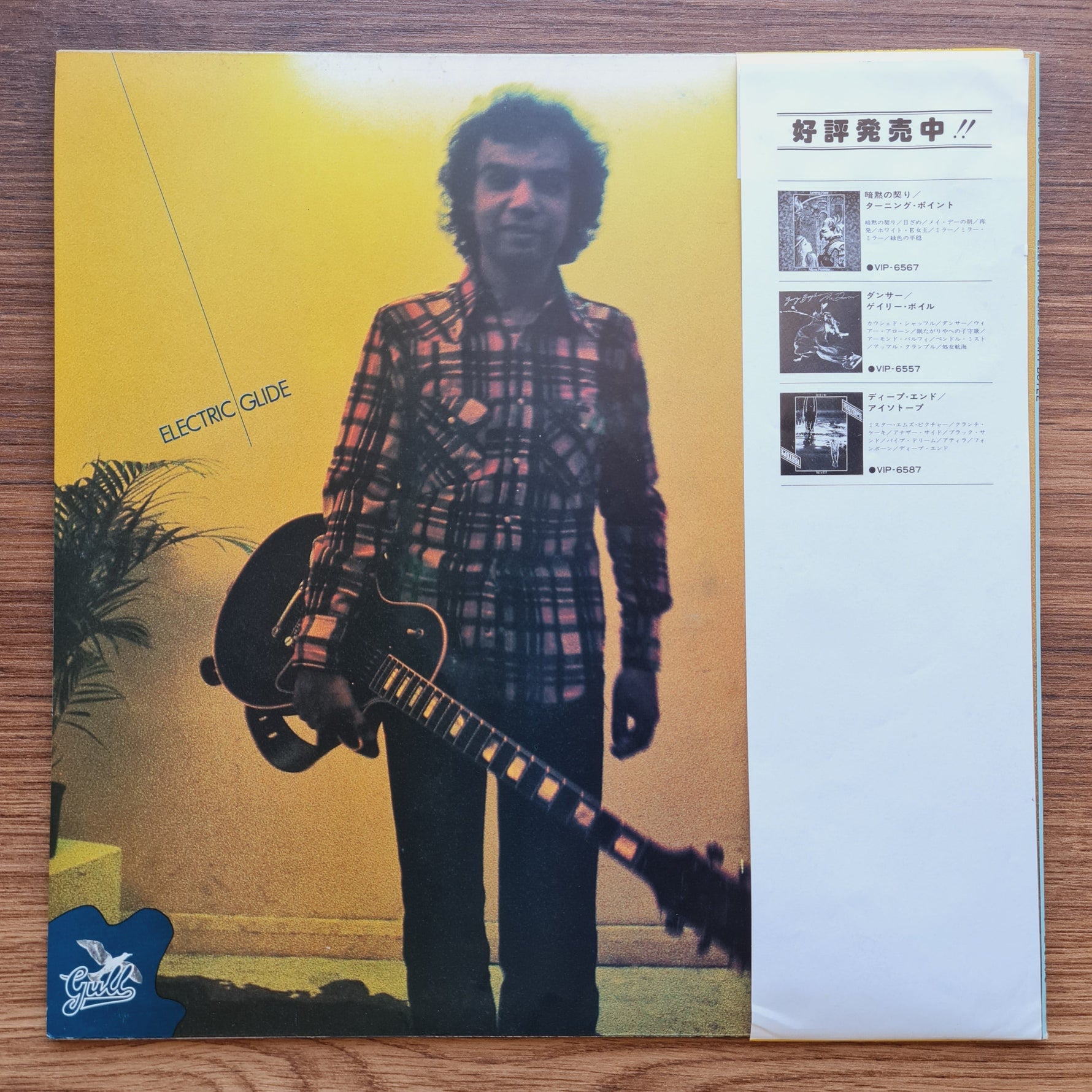 Gary Boyle – Electric Glide 33'lük LP PLAK Japan Vinyl