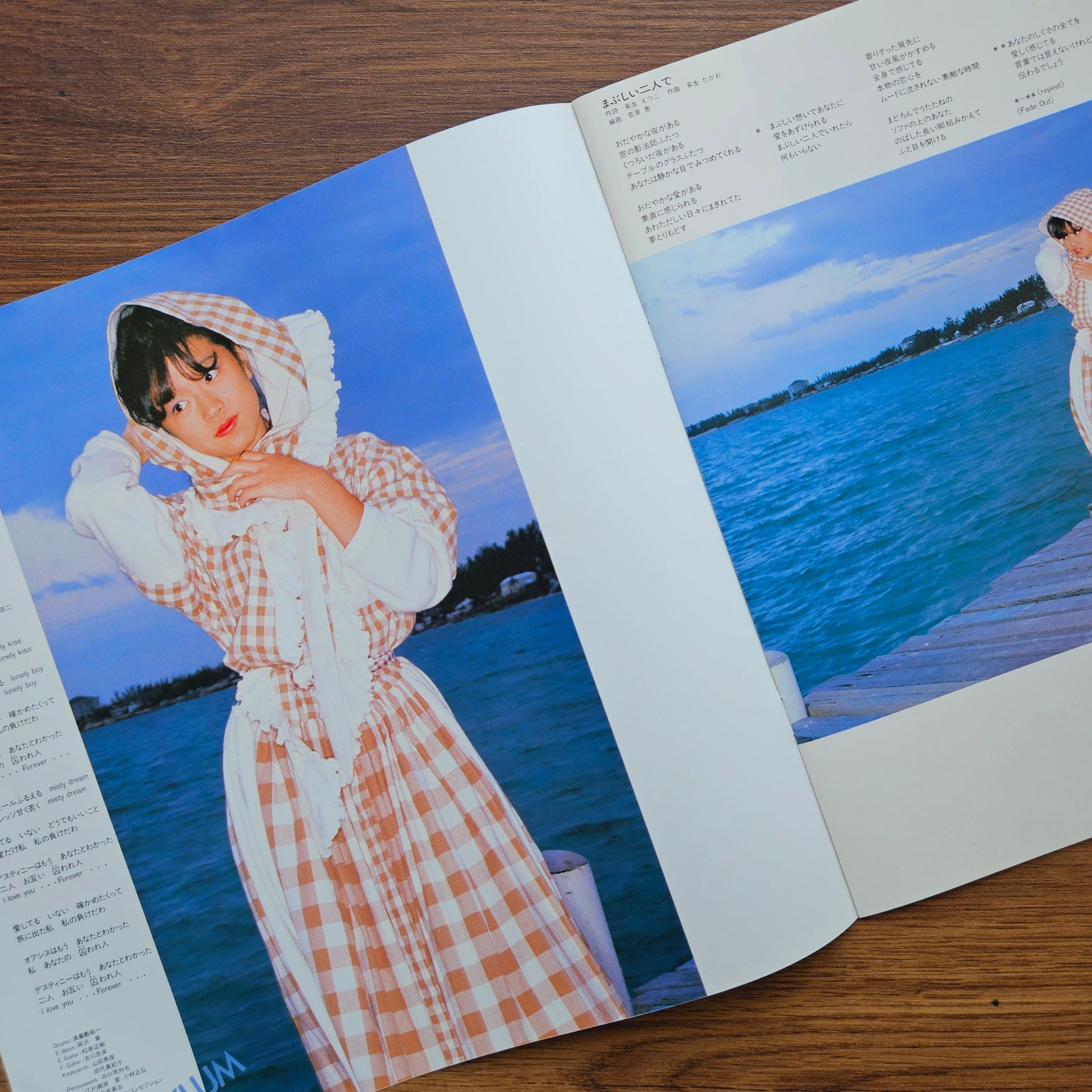 Akina Nakamori – Anniversary 33'lük LP PLAK Japan Vinyl