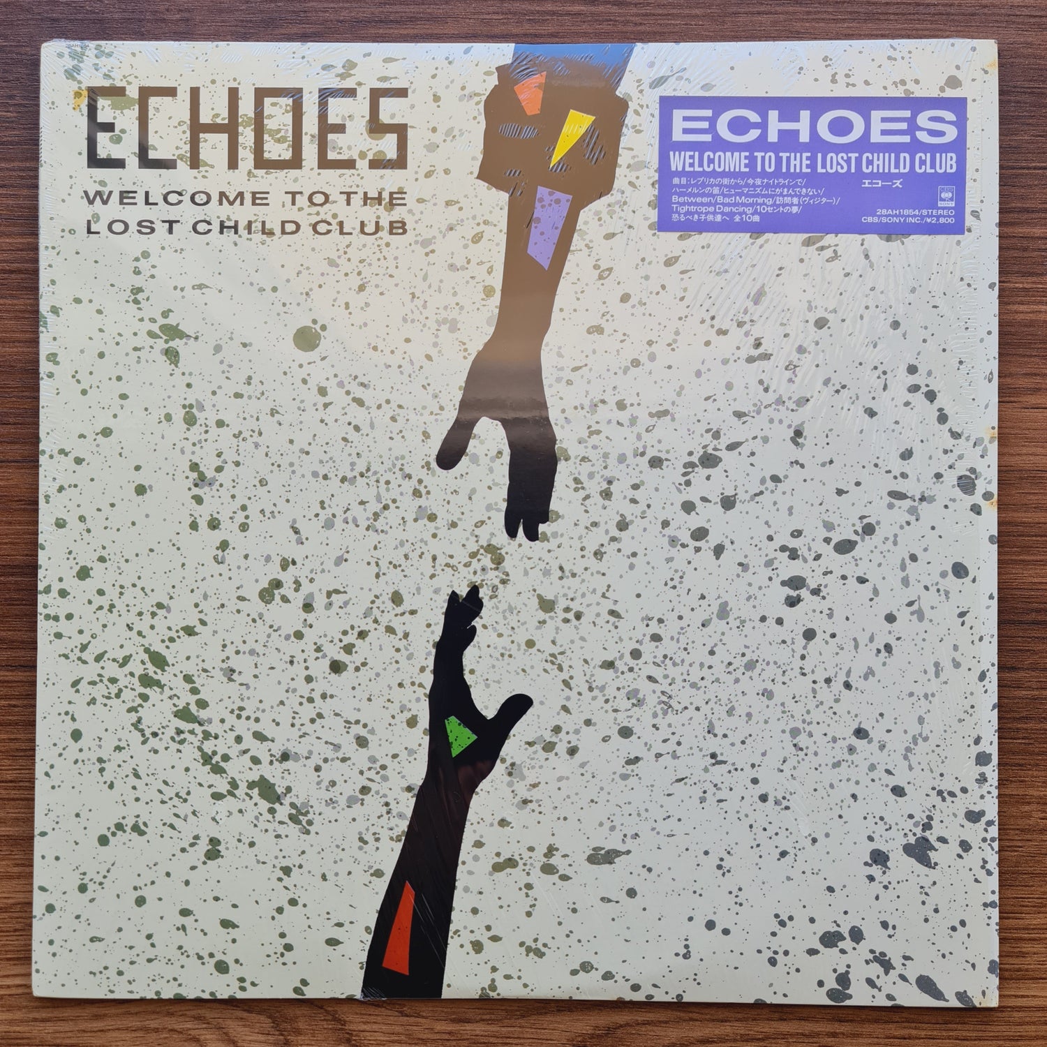 Echoes – Welcome To The Lost Child Club 33'lük LP PLAK Japan Vinyl