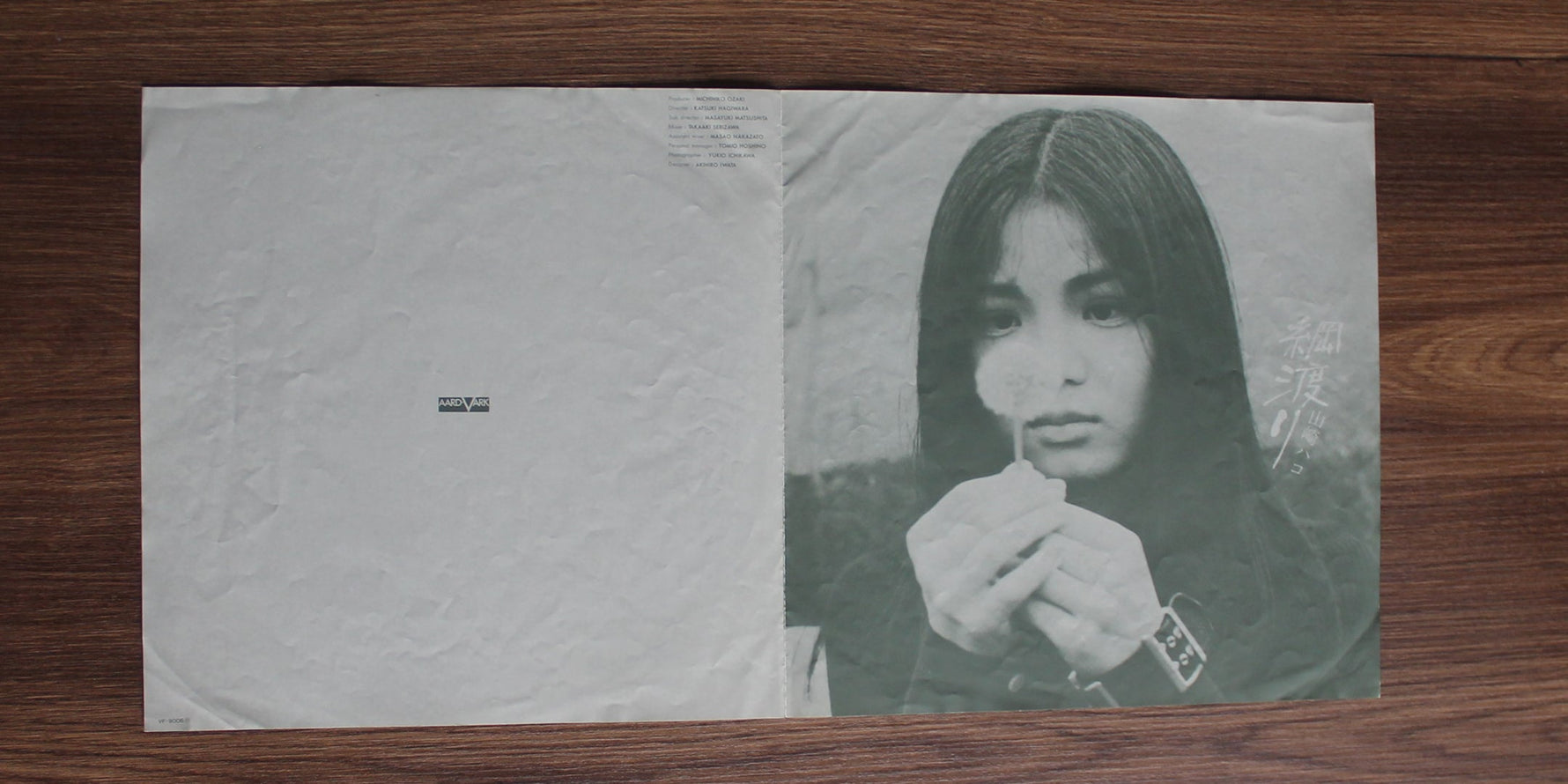 Hako Yamasaki - Tsunawatari 33'lük LP PLAK Japan Vinyl