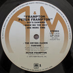 Peter Frampton - Frampton 33'lük LP PLAK Japan Vinyl