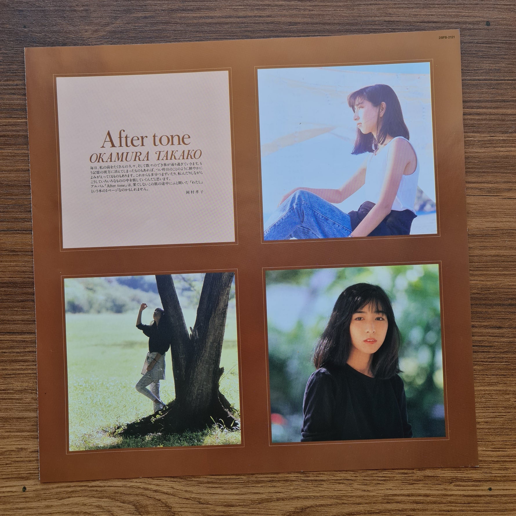 Takako Okamura – After Tone 33'lük LP PLAK Japan Vinyl