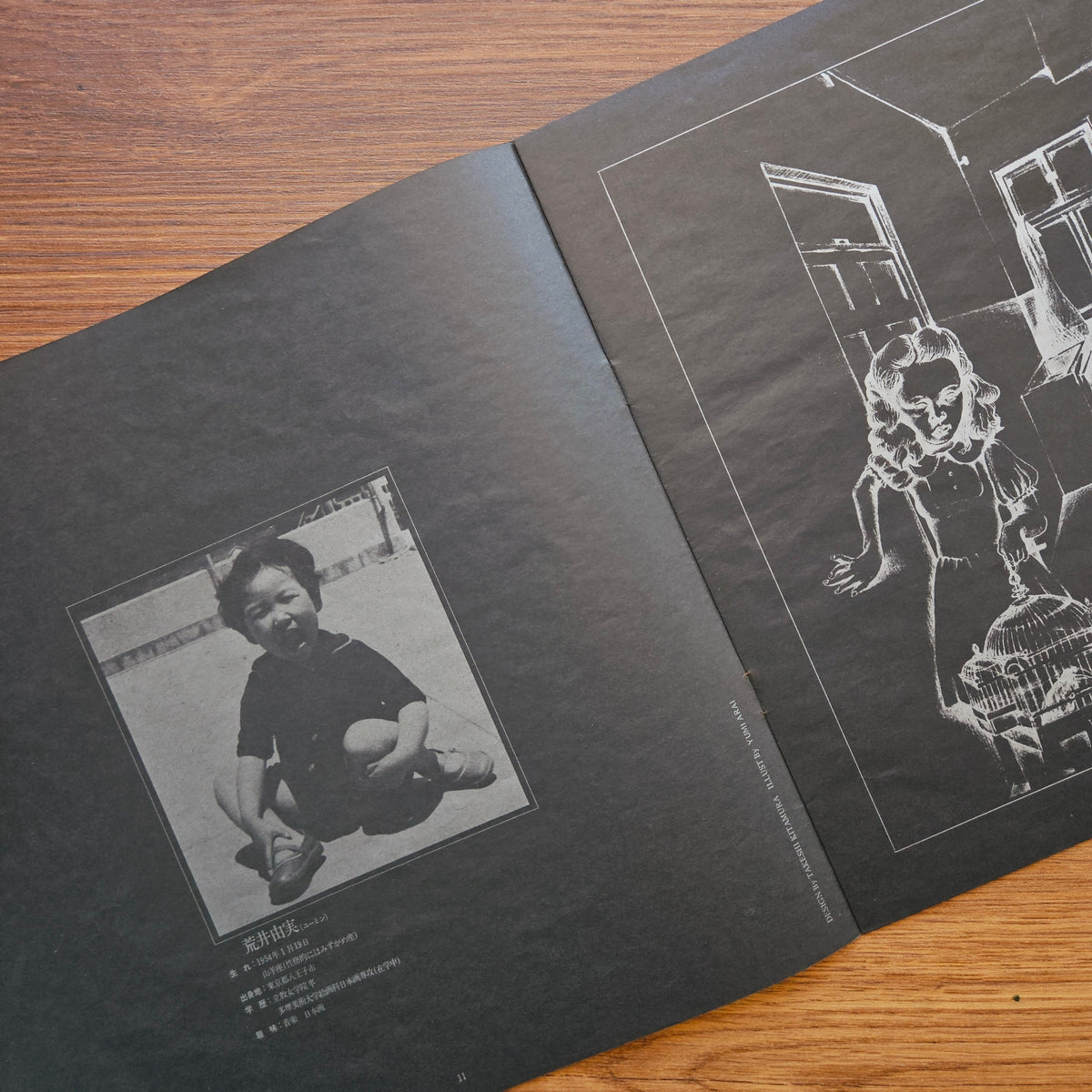 Yumi Arai – Hikō-Ki Gumo 33'lük LP PLAK Japan Vinyl