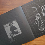 Yumi Arai – Hikō-Ki Gumo 33'lük LP PLAK Japan Vinyl