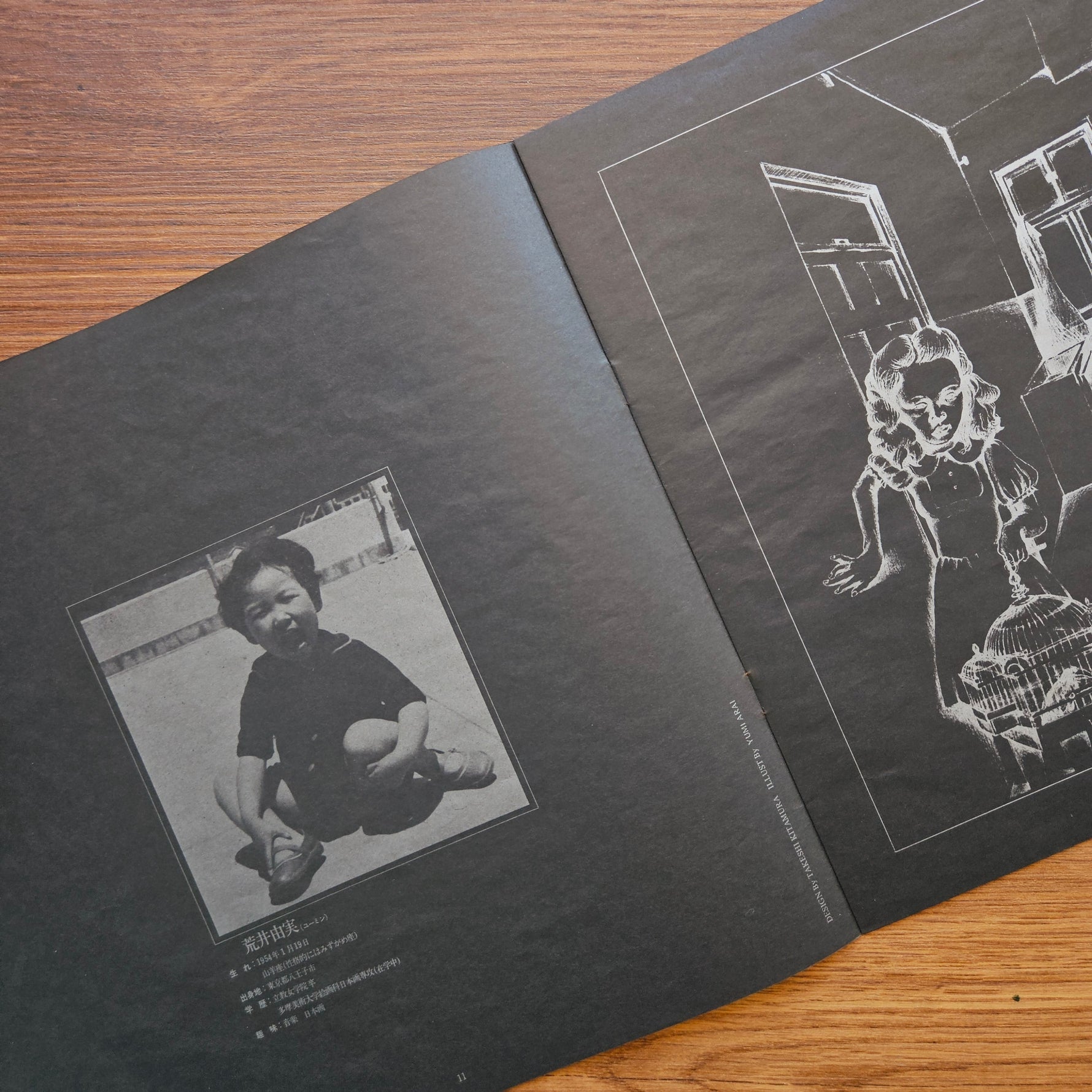 Yumi Arai – Hikō-Ki Gumo 33'lük LP PLAK Japan Vinyl