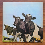 Pink Floyd – Atom Heart Mother 33'lük LP PLAK Japan Vinyl