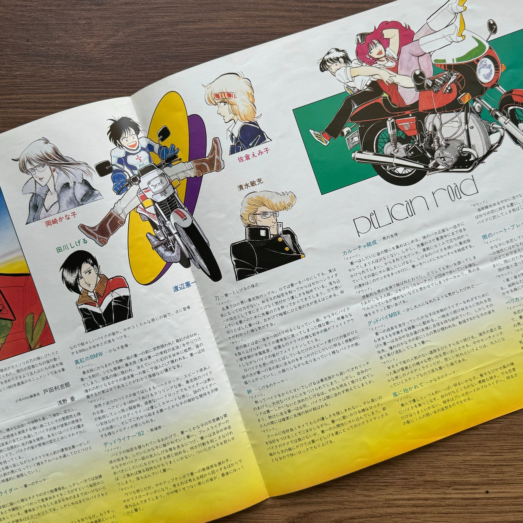 The Toys – Pelican Road 33'lük LP PLAK Japan Vinyl