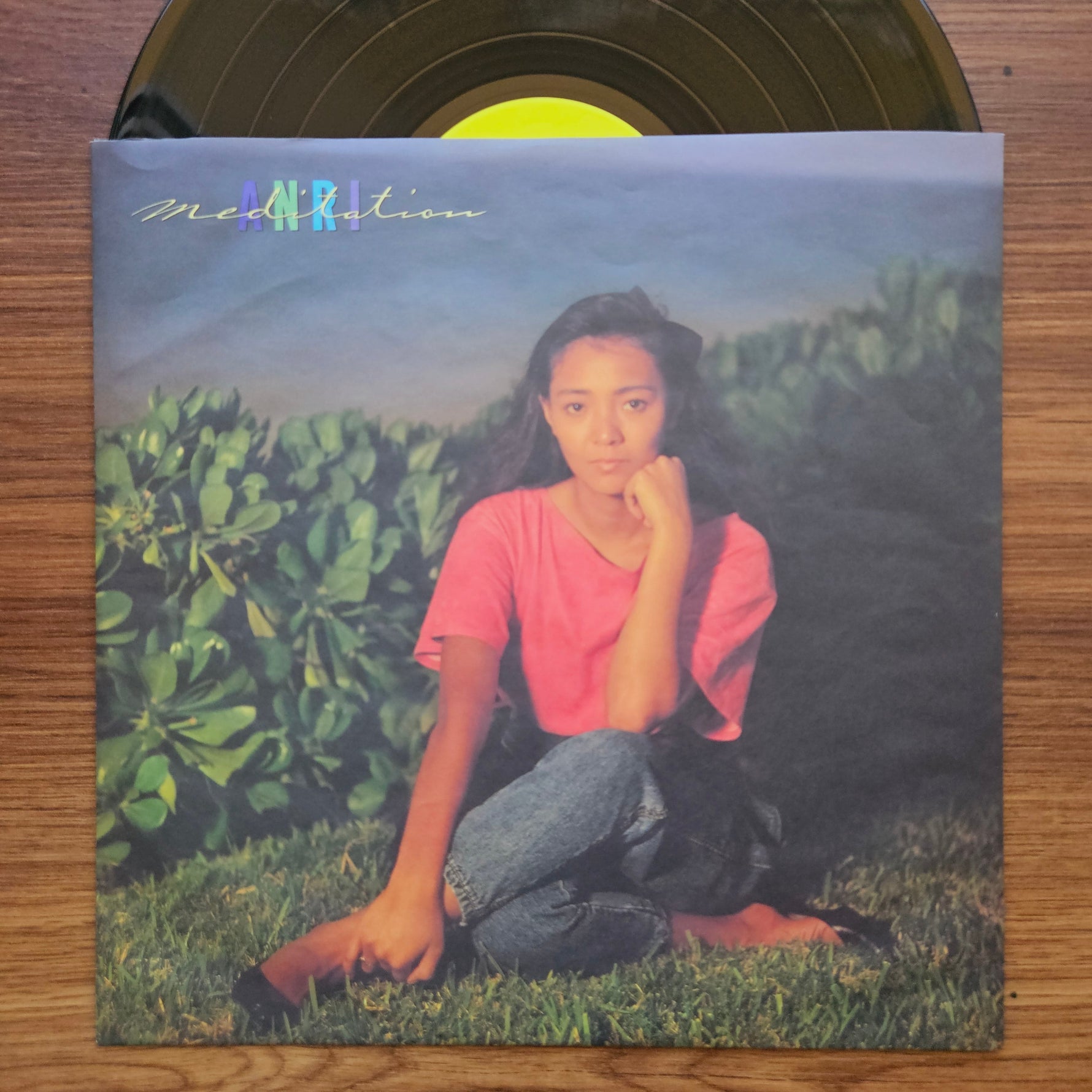 Anri - Meditation 33'lük LP PLAK Japan Vinyl