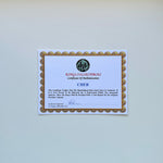 Cher 20x23 cm Boyutunda El İmzalı Fotoğraf (Ömür Boyu COA) Japan Vinyl