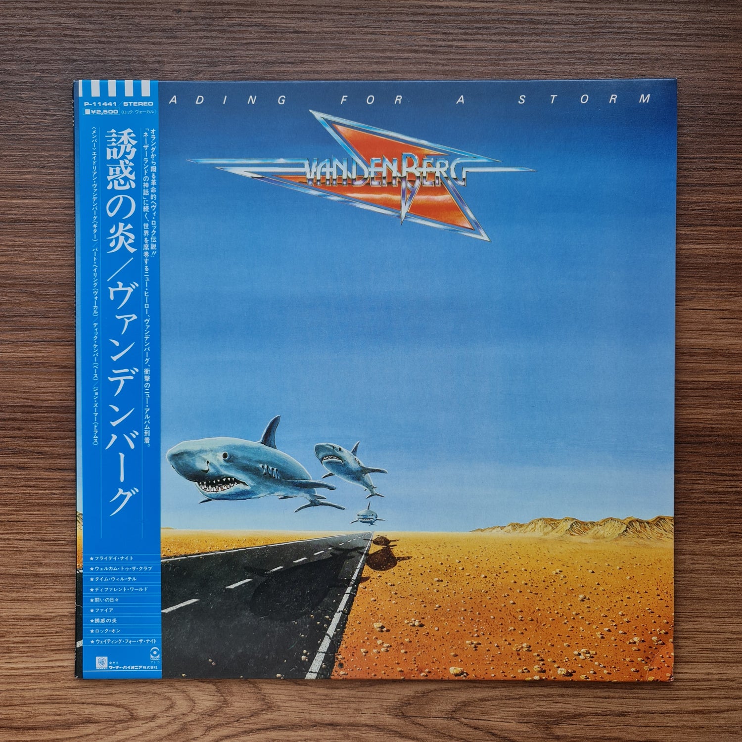 Vandenberg – Heading For A Storm 33'lük LP PLAK Japan Vinyl