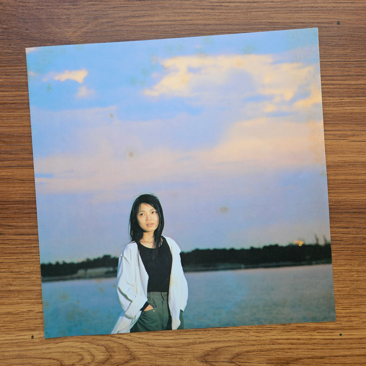 Hako Yamasaki - Dājirin 33'lük LP PLAK Japan Vinyl