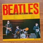 The Beatles – Please Please Me 33'lük LP PLAK Japan Vinyl