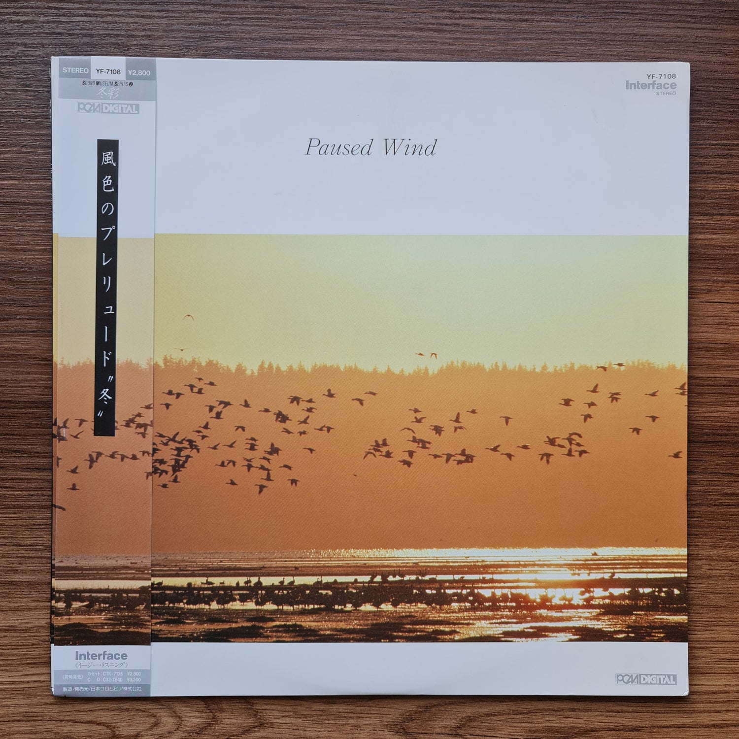 Toshiyuki Watanabe – Paused Wind 33'lük LP PLAK Japan Vinyl