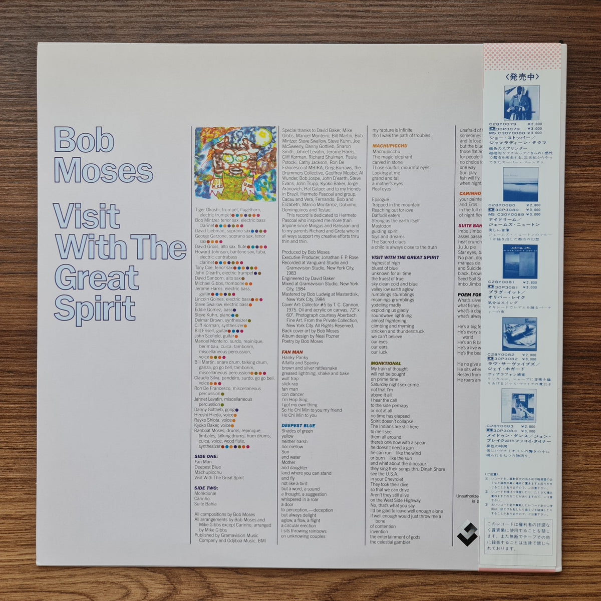 Bob Moses – Visit With The Great Spirit 33'lük LP PLAK Japan Vinyl