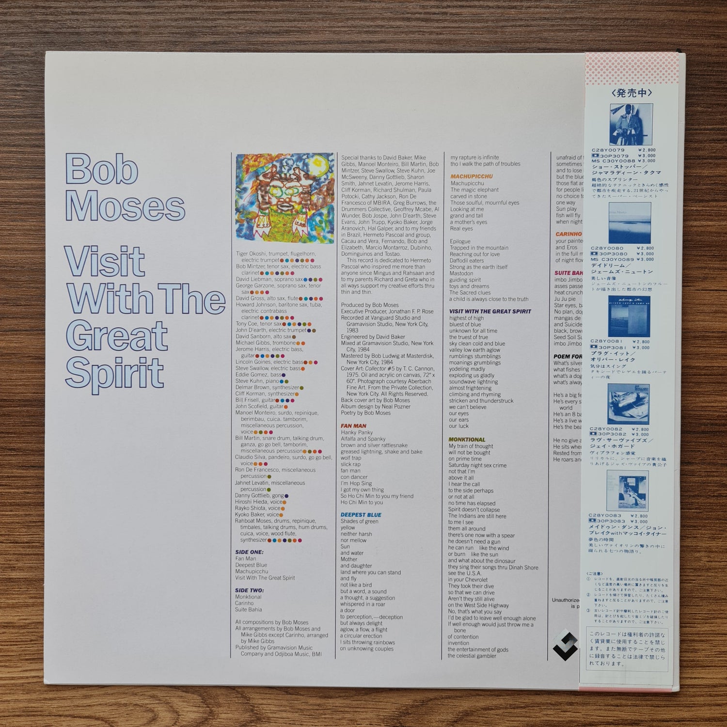 Bob Moses – Visit With The Great Spirit 33'lük LP PLAK Japan Vinyl