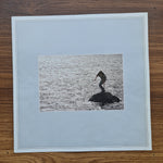 Junko Yagami - Full Moon Japan Vinyl