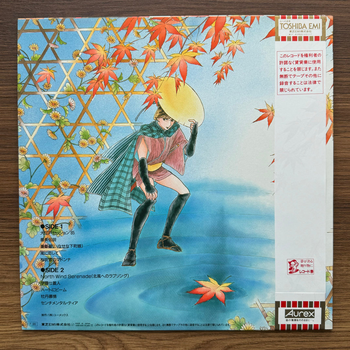 Yajikita School Travelogue 33'lük LP PLAK Japan Vinyl