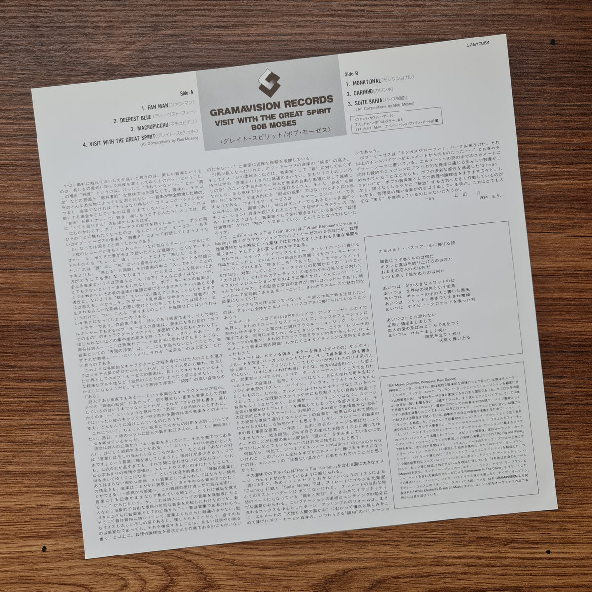 Bob Moses – Visit With The Great Spirit 33'lük LP PLAK Japan Vinyl