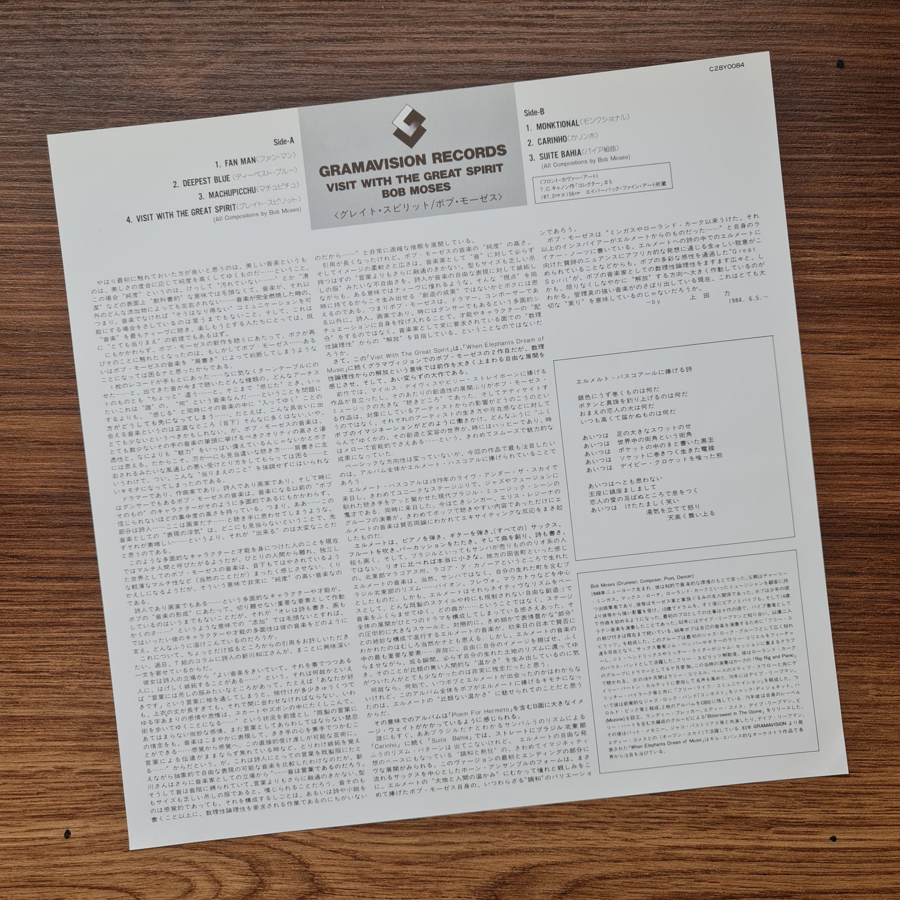 Bob Moses – Visit With The Great Spirit 33'lük LP PLAK Japan Vinyl