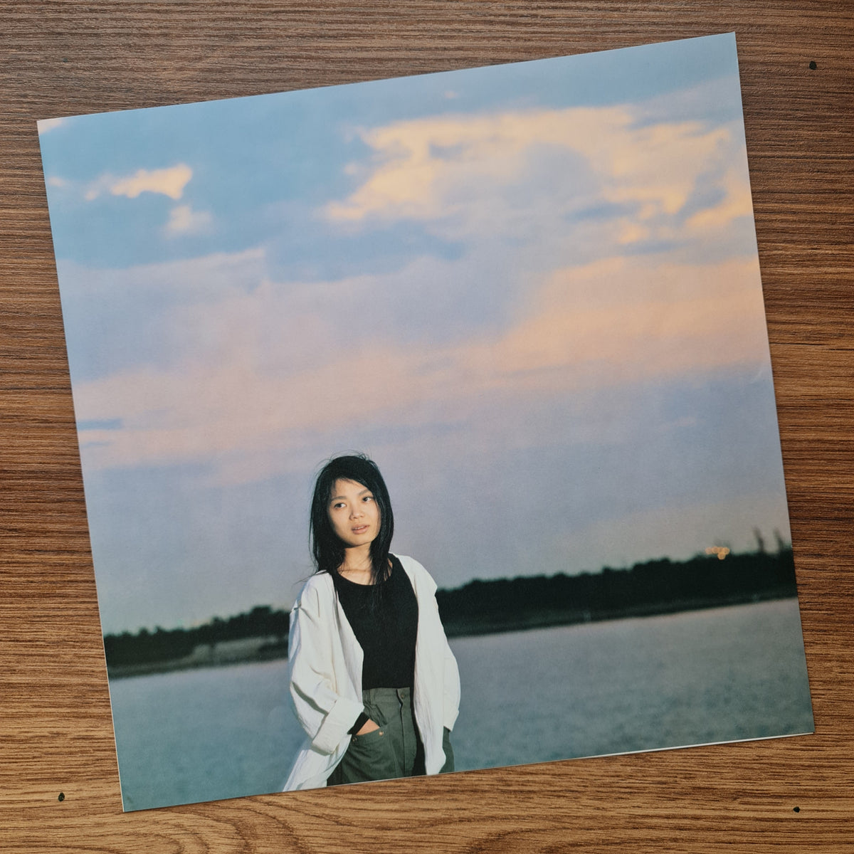 Hako Yamasaki - Dājirin 33'lük LP PLAK Japan Vinyl