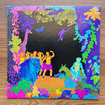 Santana – Amigos 33'lük LP PLAK Japan Vinyl