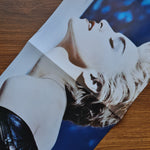 Madonna - True Blue 33'lük LP PLAK Japan Vinyl