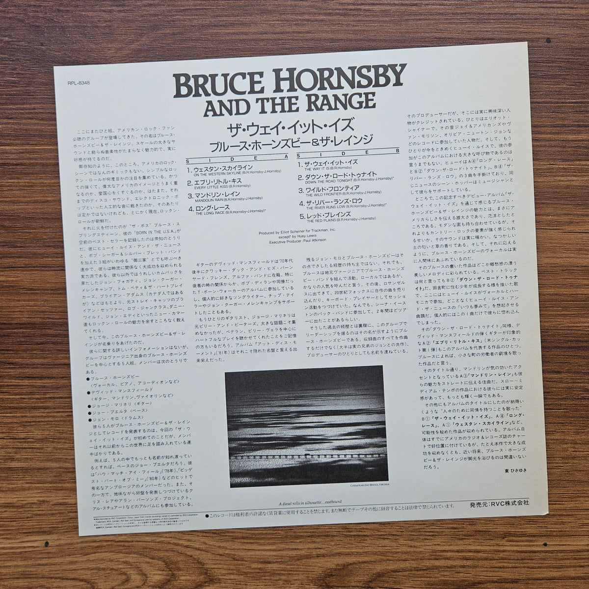 Bruce Hornsby And The Range – The Way It Is 33'lük LP PLAK Japan Vinyl