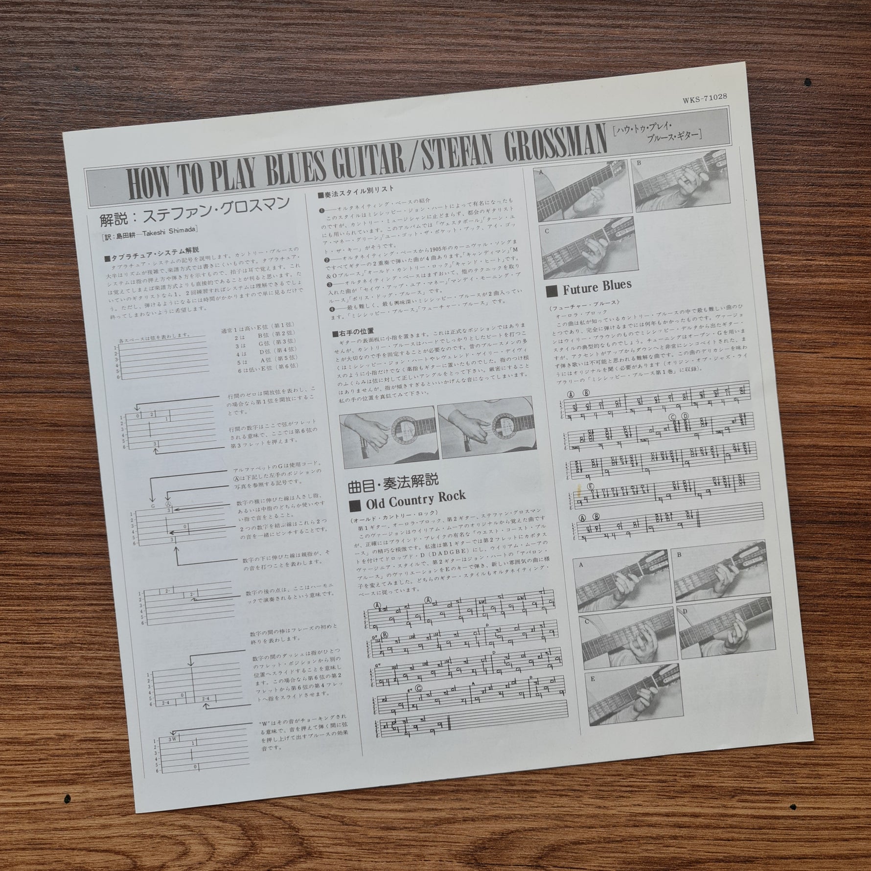 Stefan Grossman / Aurora Block – How To Play Blues Guitar 33'lük LP PLAK Japan Vinyl