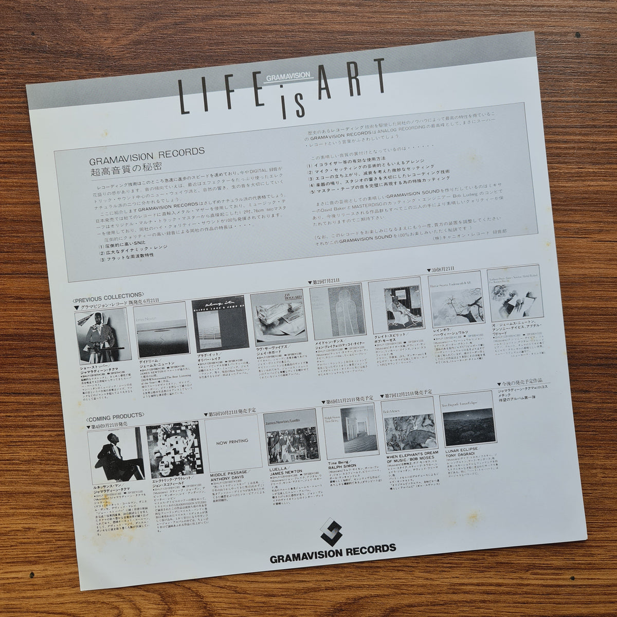 John Scofield – Electric Outlet 33'lük LP PLAK Japan Vinyl
