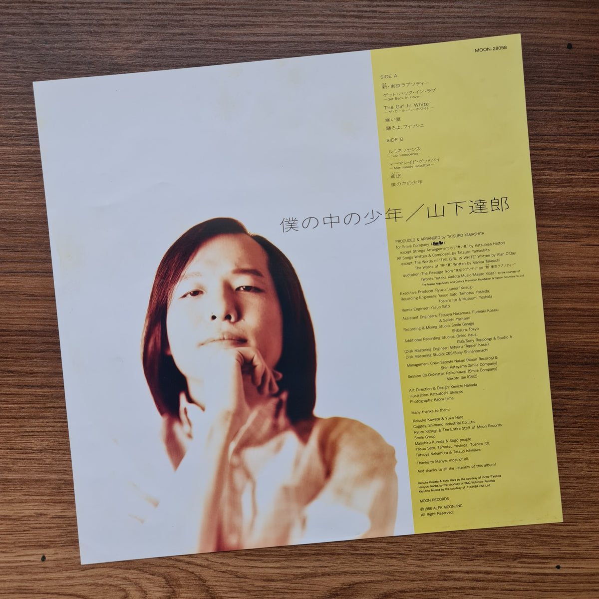 Tatsuro Yamashita - The Boy Inside Me 33'lük LP PLAK Japan Vinyl