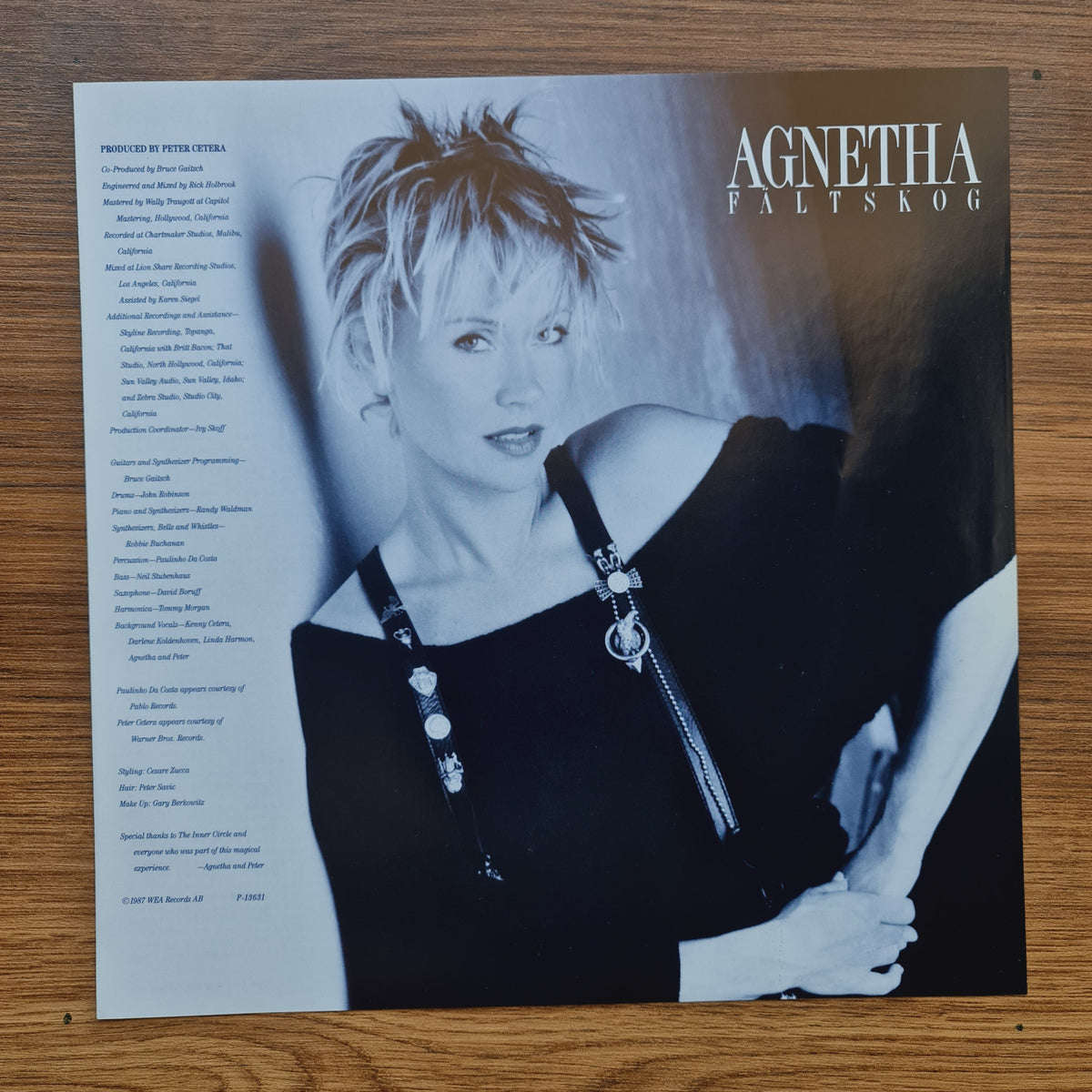Agnetha Fältskog – I Stand Alone 33'lük LP PLAK Japan Vinyl