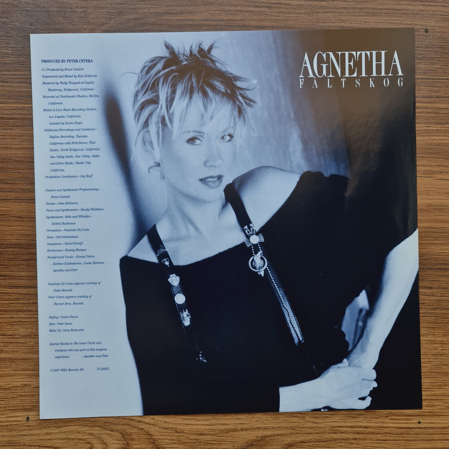 Agnetha Fältskog – I Stand Alone 33'lük LP PLAK Japan Vinyl