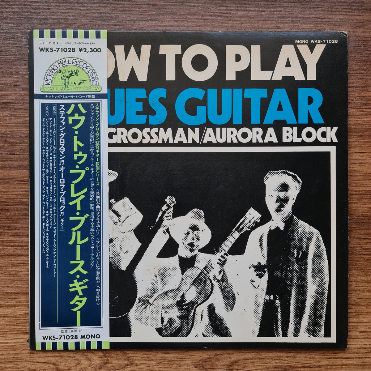 Stefan Grossman / Aurora Block – How To Play Blues Guitar 33'lük LP PLAK Japan Vinyl