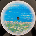 Suzume no Tojimari Japan Vinyl