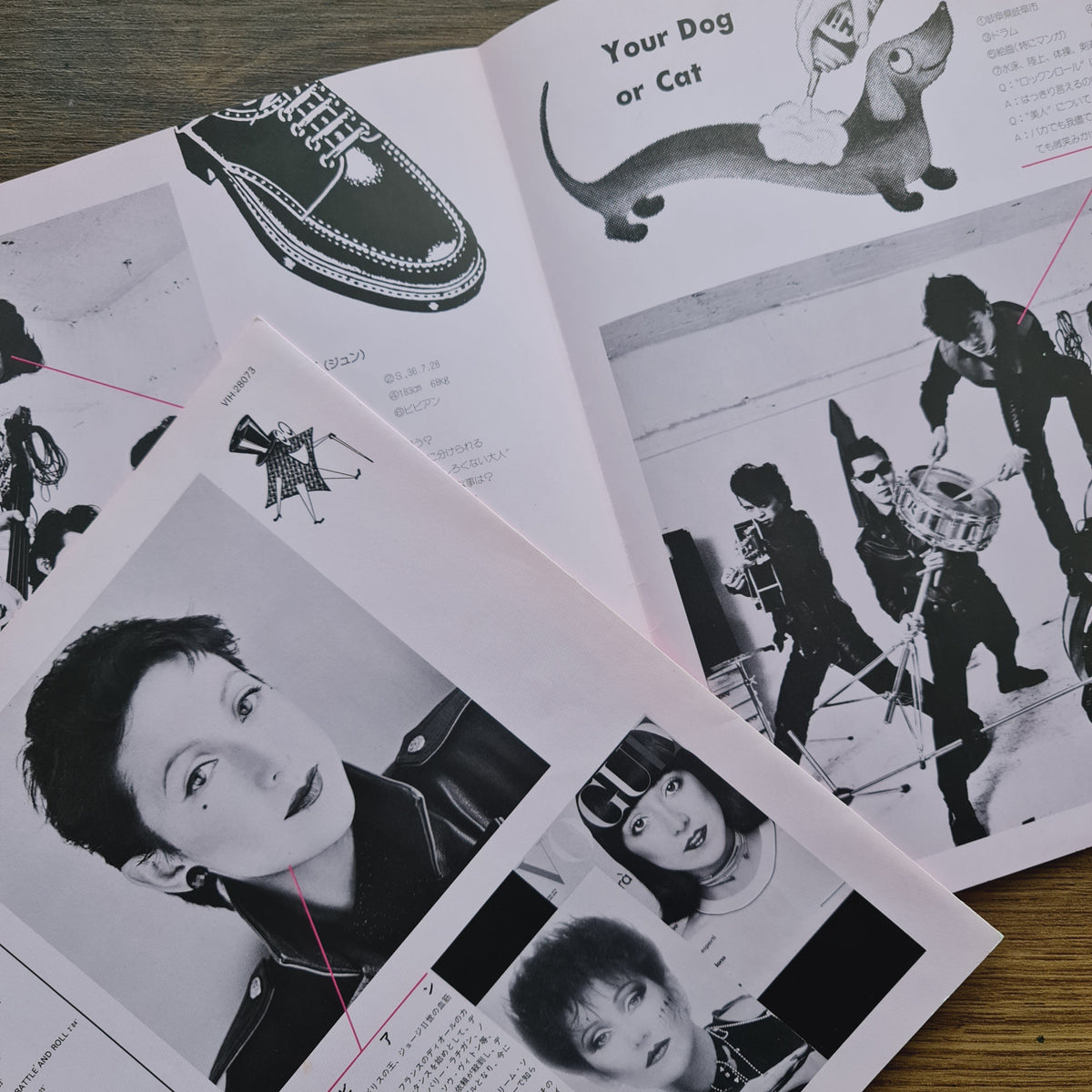 Vivienne & Black Cats – Vivienne Japan Vinyl