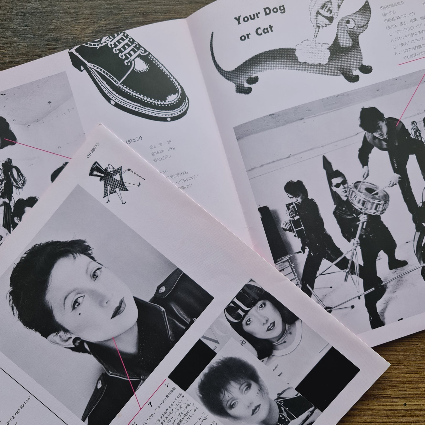 Vivienne & Black Cats – Vivienne Japan Vinyl