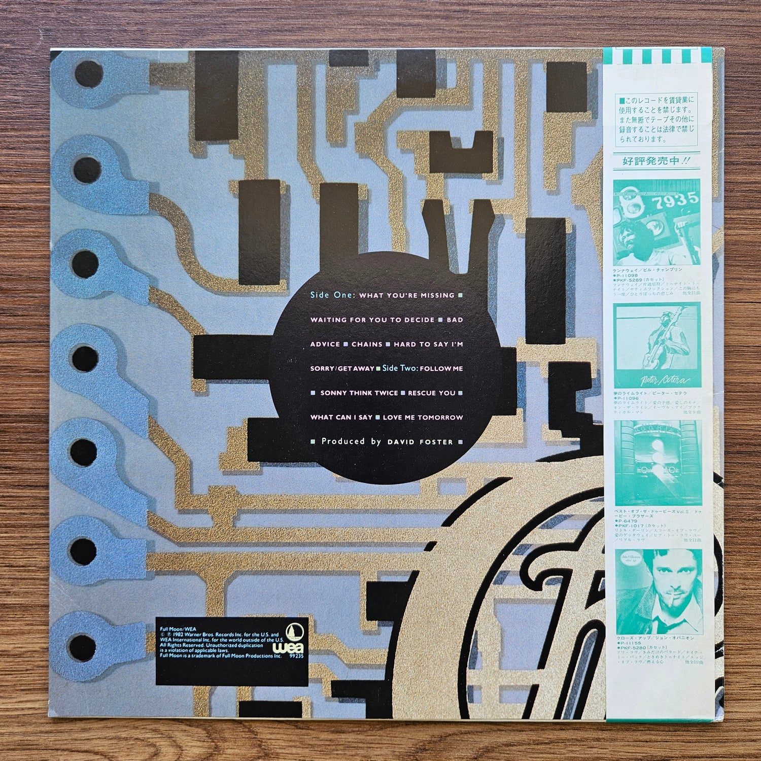 Chicago – Chicago 16 33'lük LP PLAK Japan Vinyl