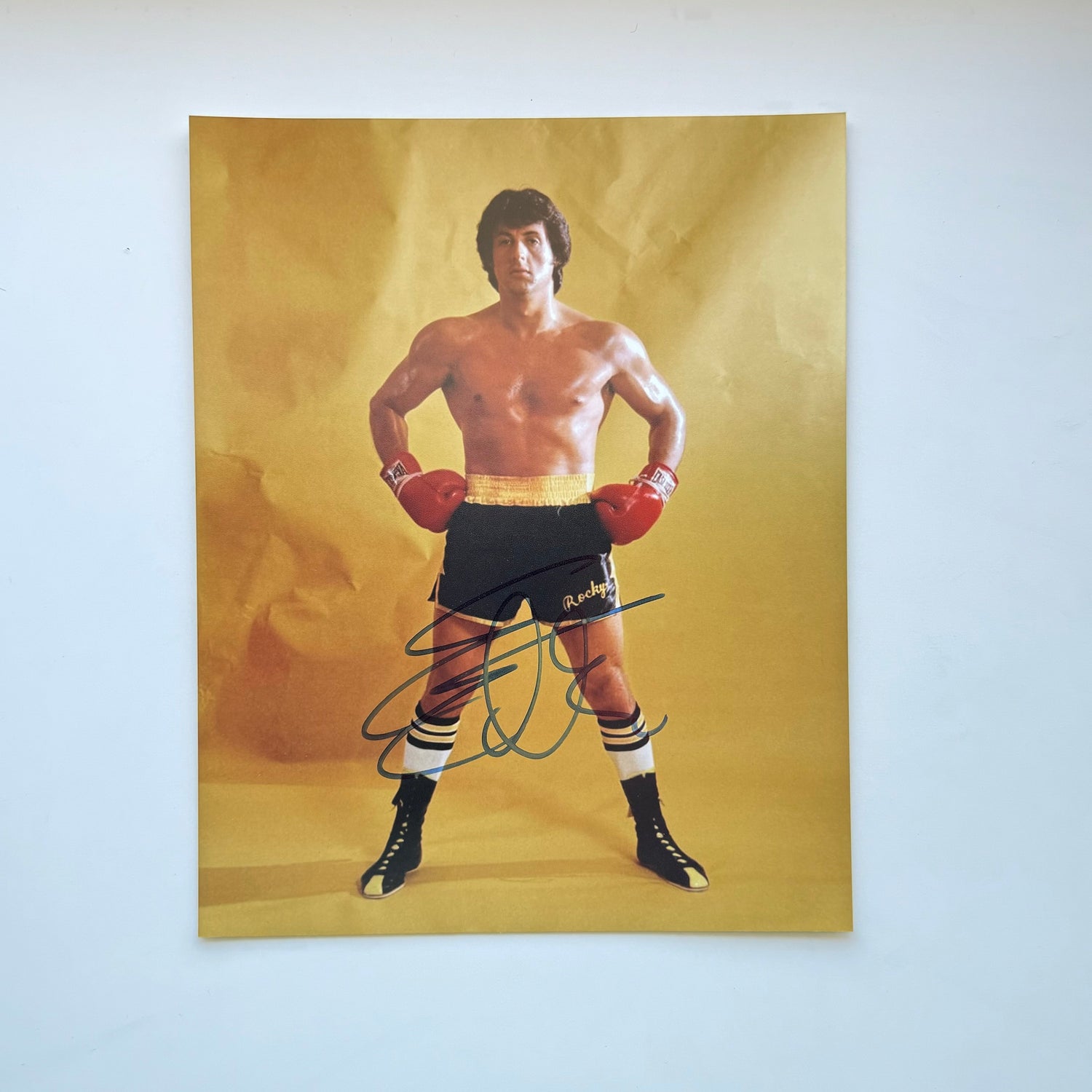 Sylvester Stallone Rocky 21x26 cm Boyutunda El İmzalı Fotoğraf (Ömür Boyu COA) Japan Vinyl