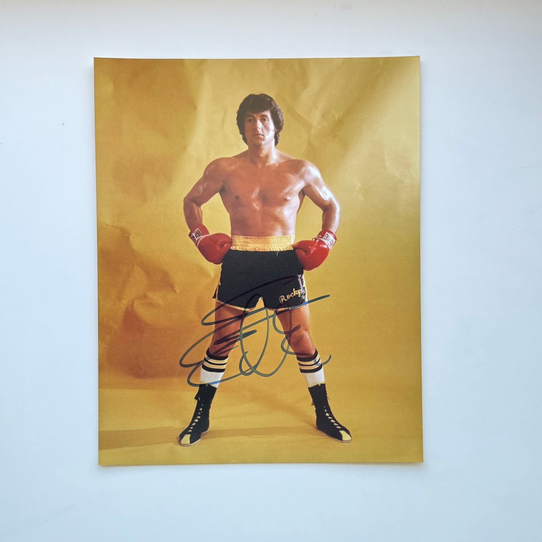 Sylvester Stallone Rocky 21x26 cm Boyutunda El İmzalı Fotoğraf (Ömür Boyu COA) Japan Vinyl