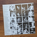 The Doobie Brothers – Farewell Tour 33'lük LP PLAK Japan Vinyl