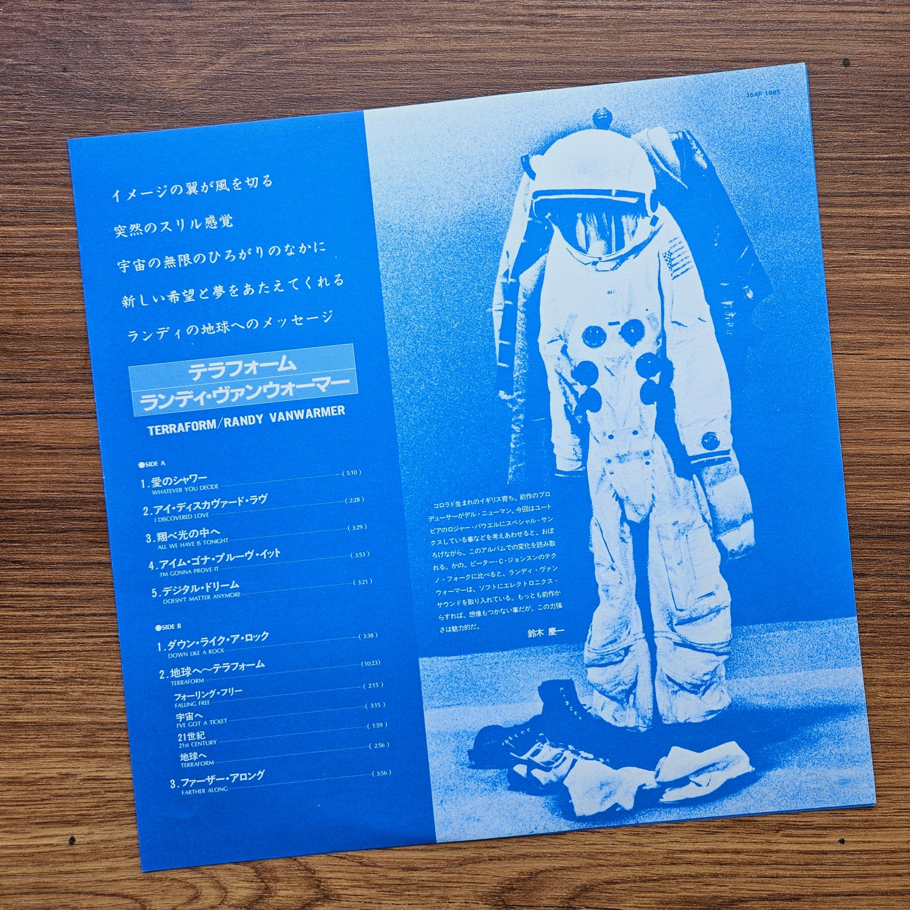 Randy Vanwarmer – Terraform 33'lük LP PLAK Japan Vinyl