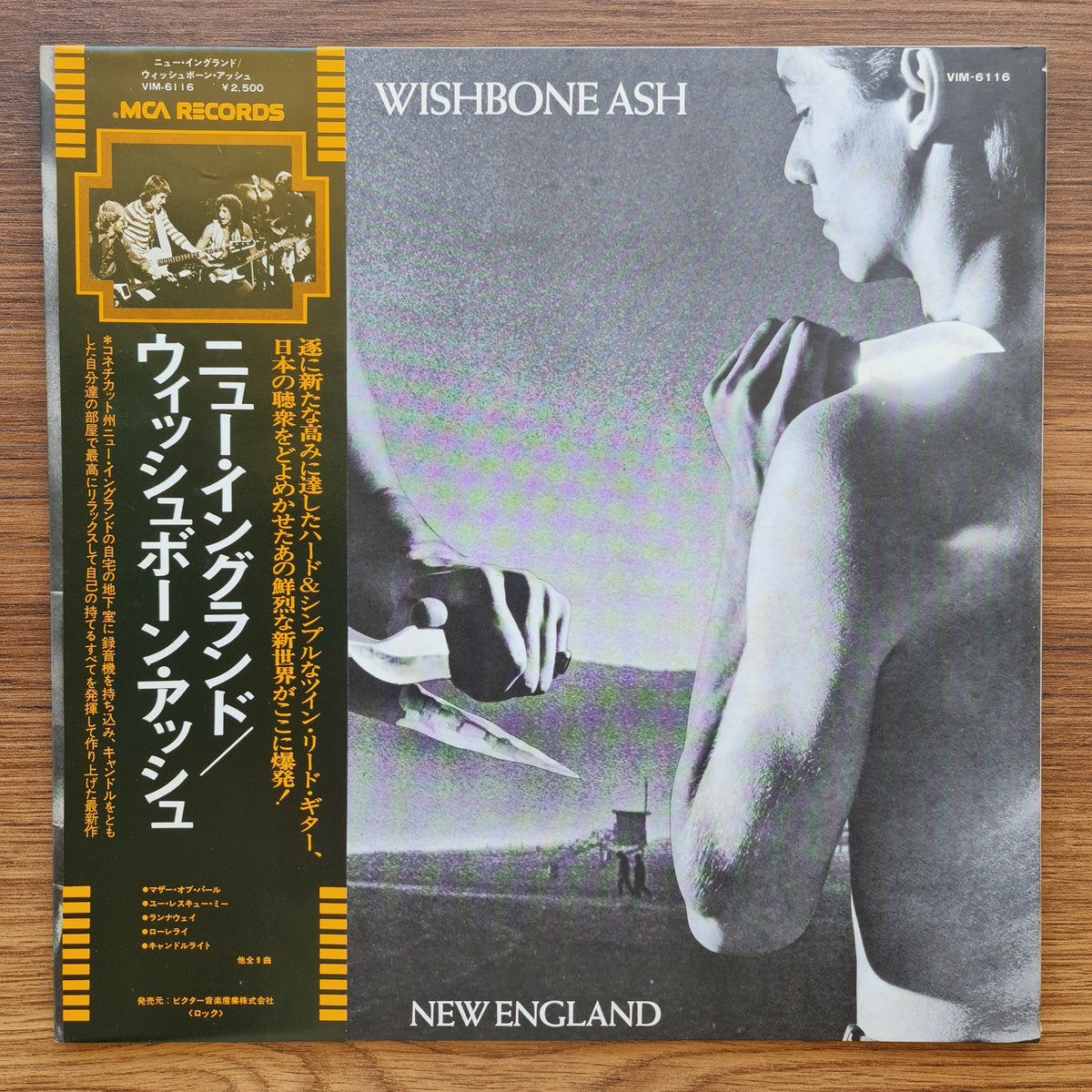 Wishbone Ash – New England 33'lük LP PLAK Japan Vinyl