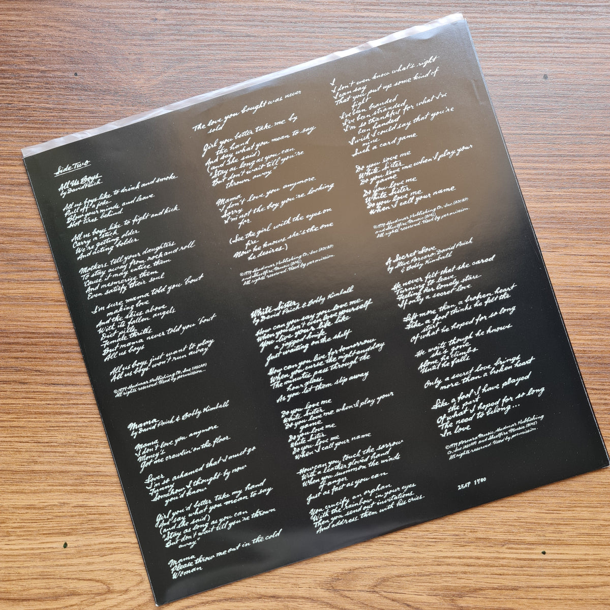 Toto – Hydra 33'lük LP PLAK Japan Vinyl