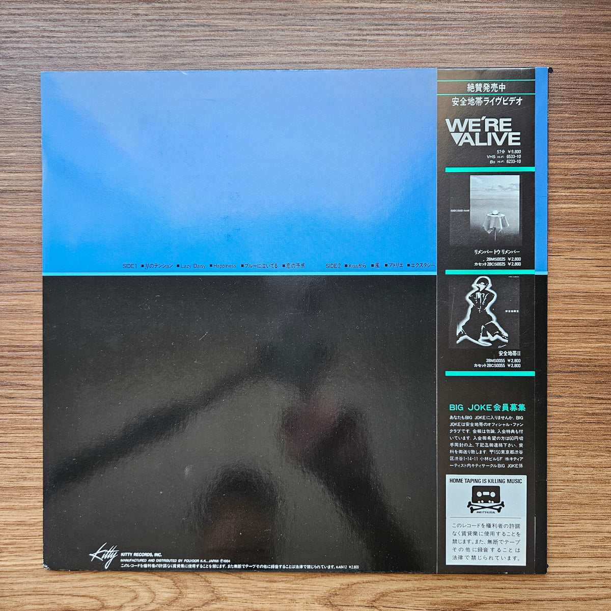 Anzen Chitai - I Want To Hug You / Safety Zone III Japan Vinyl